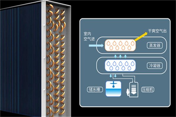 工業除濕機要怎么維護才能延長使用壽命