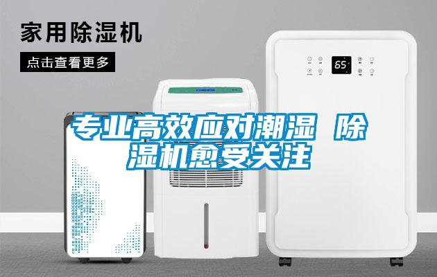 專業高效應對潮濕 除濕機愈受關注