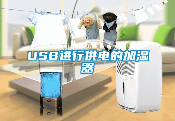 USB進行供電的加濕器