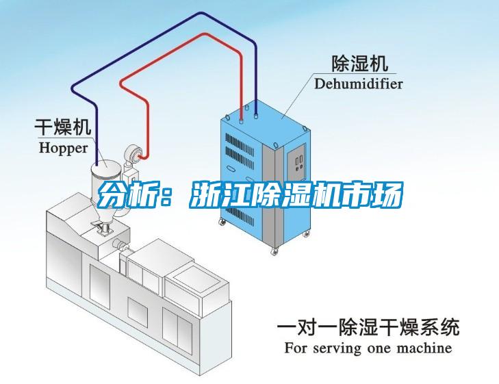 分析：浙江除濕機市場