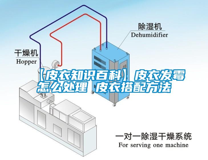 【皮衣知識百科】皮衣發(fā)霉怎么處理 皮衣搭配方法