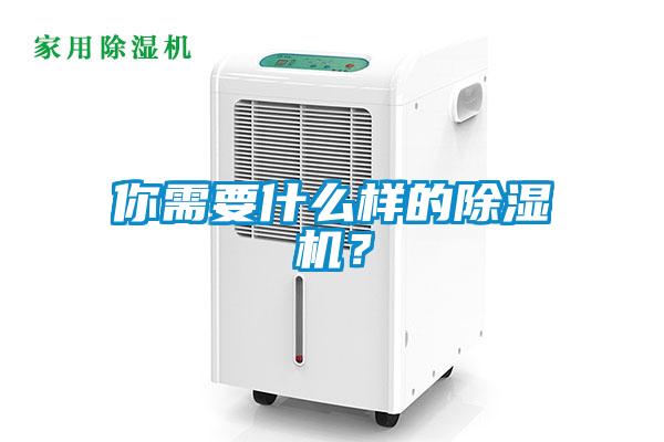 你需要什么樣的除濕機？