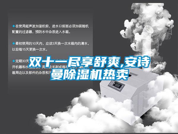 雙十一盡享舒爽,安詩曼除濕機熱賣