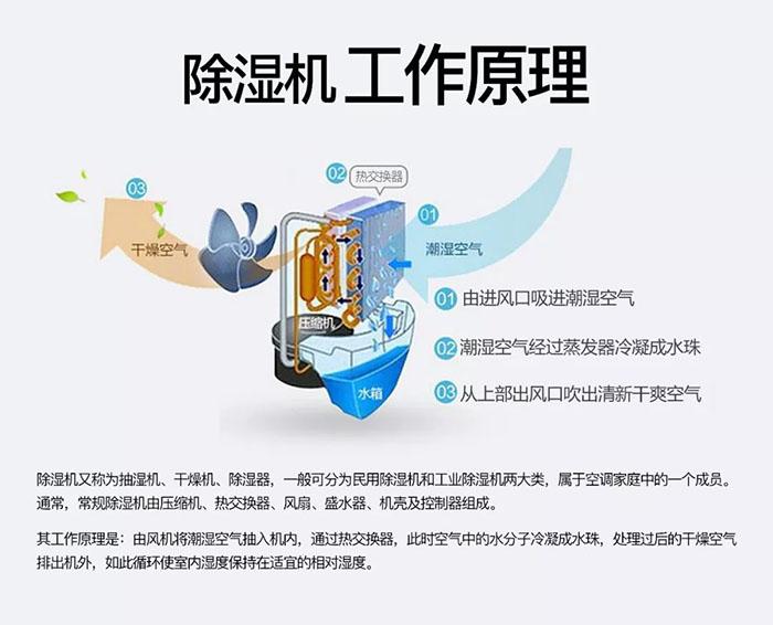 你們見(jiàn)過(guò)回南天電梯罷工嗎？