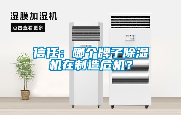 信任：哪個牌子除濕機在制造危機？