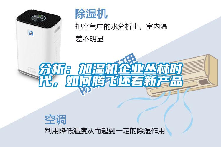 分析：加濕機企業(yè)叢林時代，如何騰飛還看新產品