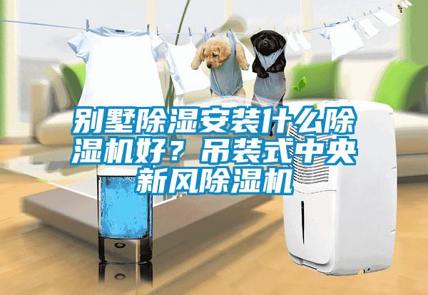 別墅除濕安裝什么除濕機好？吊裝式中央新風除濕機