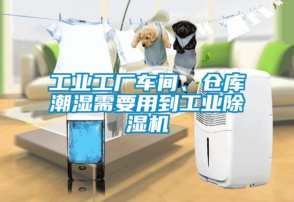 工業(yè)工廠車間、倉庫潮濕需要用到工業(yè)除濕機