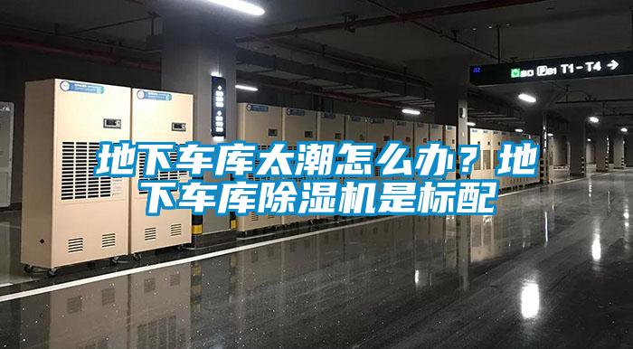 地下車庫太潮怎么辦？地下車庫除濕機(jī)是標(biāo)配