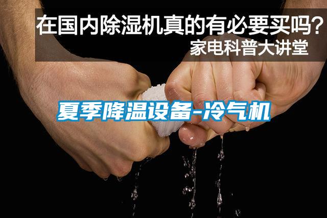 夏季降溫設(shè)備-冷氣機