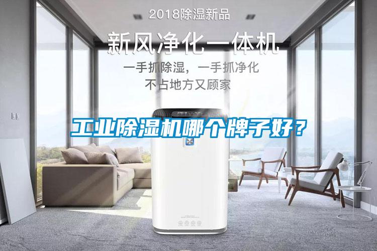 工業除濕機哪個牌子好？