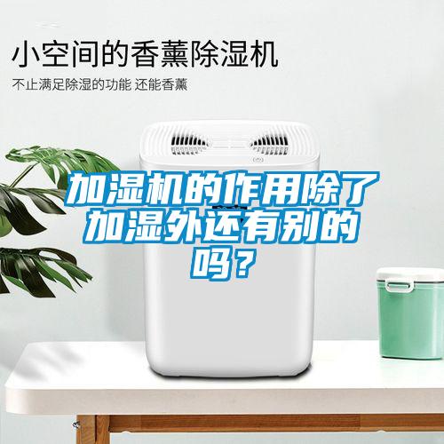 加濕機(jī)的作用除了加濕外還有別的嗎？