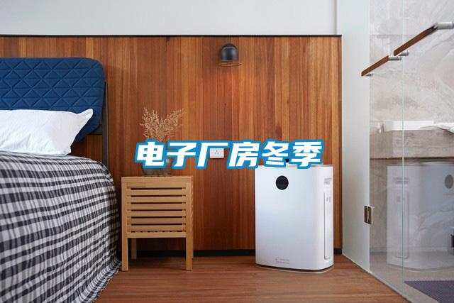 電子廠房冬季