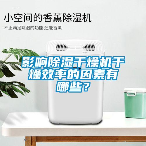 影響除濕干燥機干燥效率的因素有哪些？