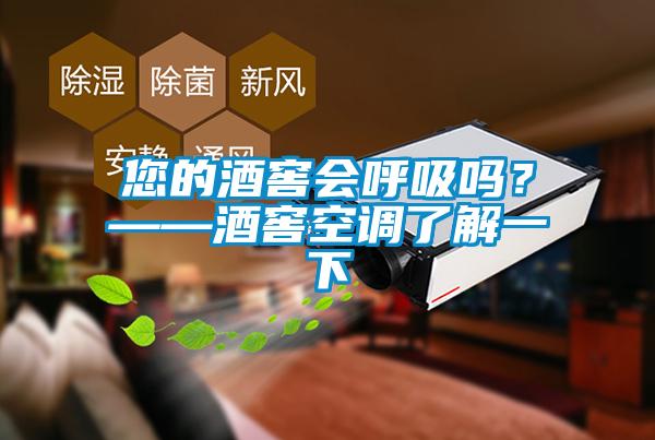 您的酒窖會呼吸嗎？——酒窖空調了解一下