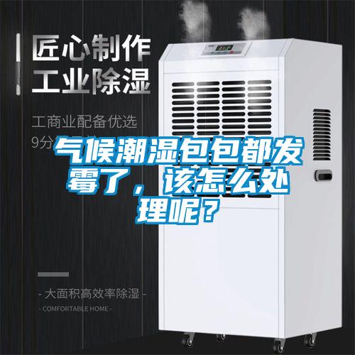 氣候潮濕包包都發霉了，該怎么處理呢？