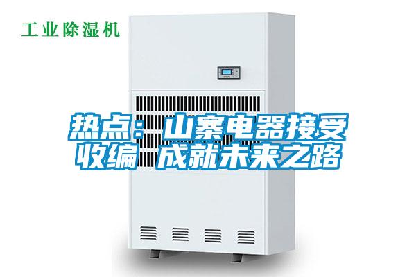 熱點：山寨電器接受收編 成就未來之路