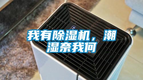我有除濕機(jī)，潮濕奈我何