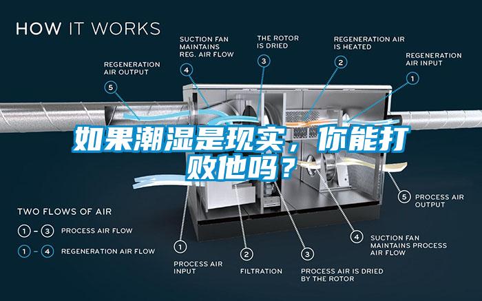 如果潮濕是現實，你能打敗他嗎？