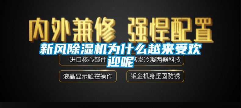 新風除濕機為什么越來受歡迎呢