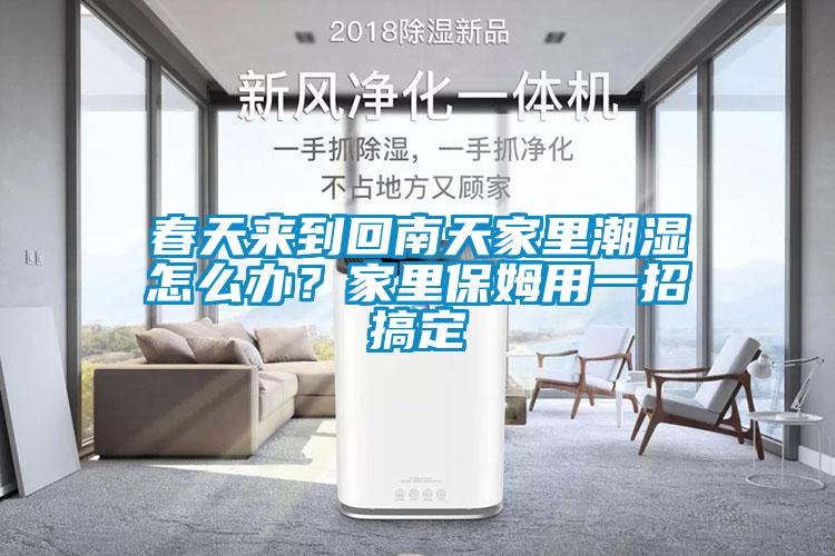 春天來到回南天家里潮濕怎么辦？家里保姆用一招搞定