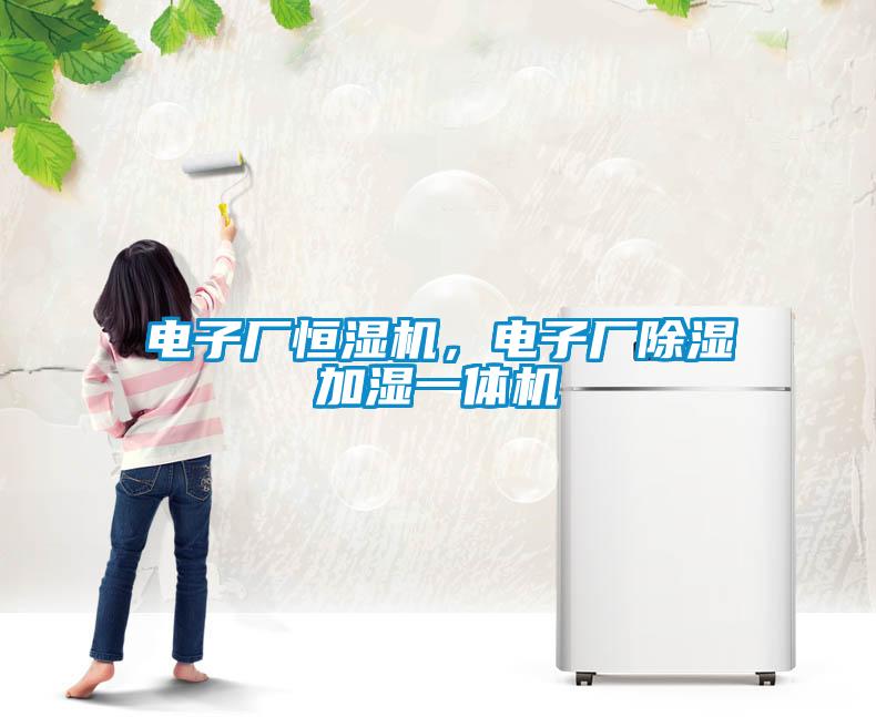 電子廠恒濕機，電子廠除濕加濕一體機