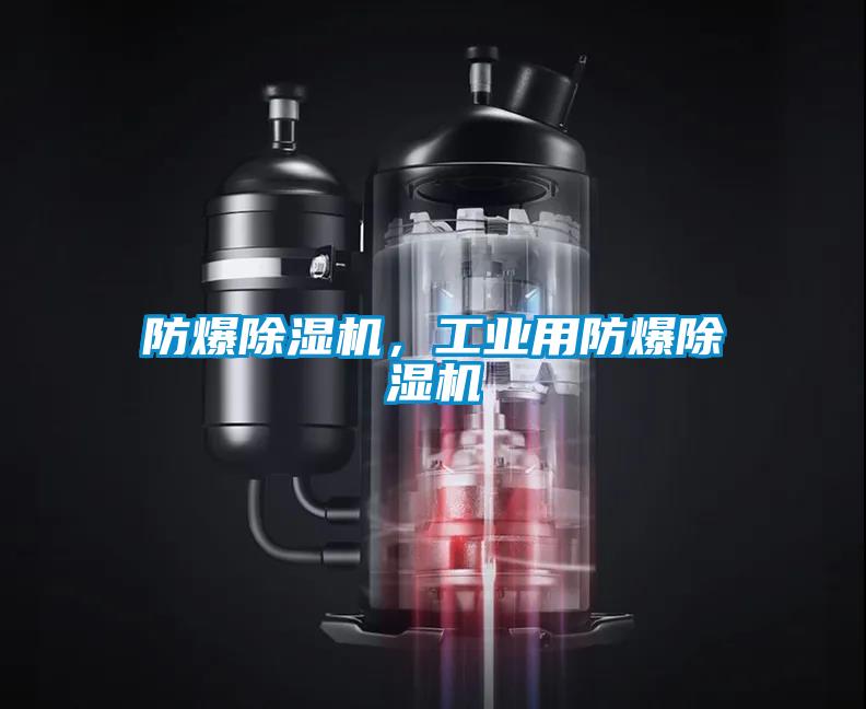 防爆除濕機，工業用防爆除濕機