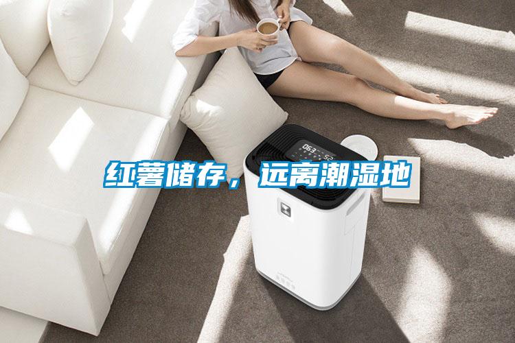 紅薯儲存，遠(yuǎn)離潮濕地