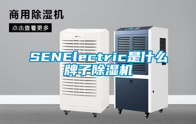 SENElectric是什么牌子除濕機