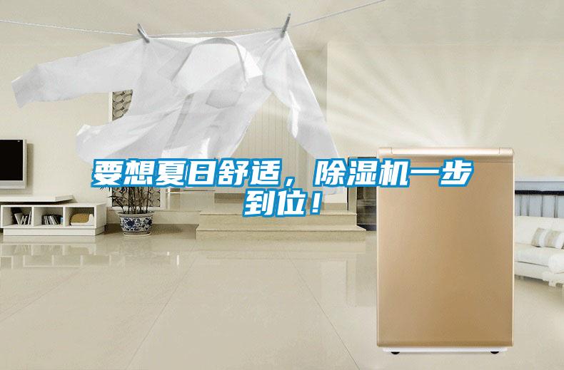 要想夏日舒適，除濕機一步到位！