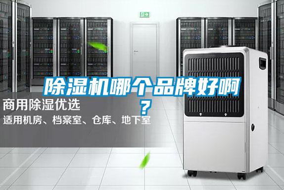 除濕機哪個品牌好?。?/></p>
						    <p style=