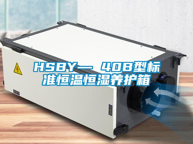 HSBY— 40B型標準恒溫恒濕養護箱