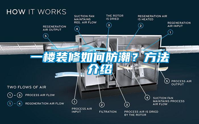 一樓裝修如何防潮？方法介紹