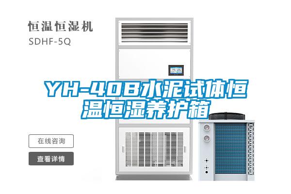 YH-40B水泥試體恒溫恒濕養護箱