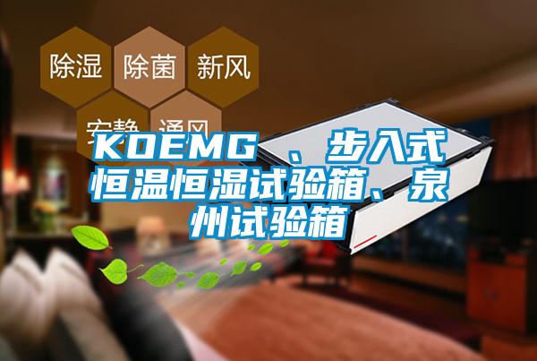 KOEMG 、步入式恒溫恒濕試驗箱、泉州試驗箱