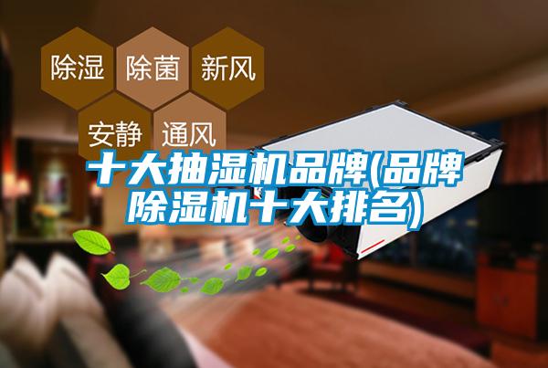 十大抽濕機品牌(品牌除濕機十大排名)