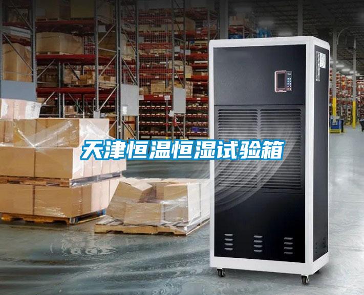 天津恒溫恒濕試驗箱