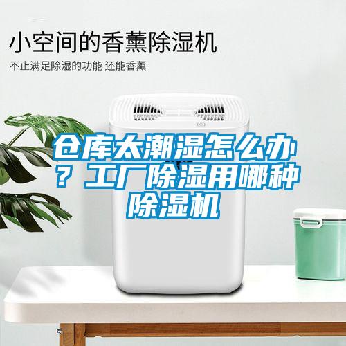 倉庫太潮濕怎么辦？工廠除濕用哪種除濕機