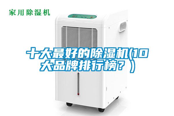 十大最好的除濕機(10大品牌排行榜？)