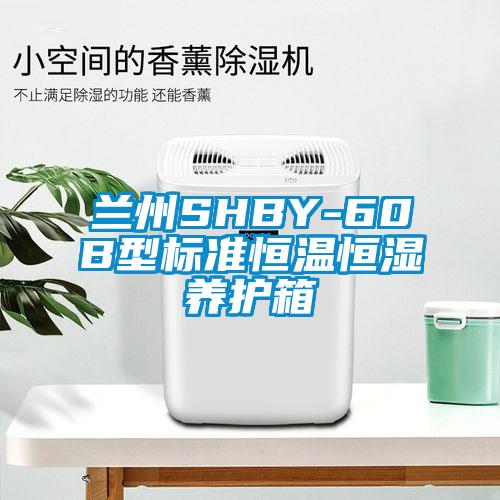 蘭州SHBY-60B型標準恒溫恒濕養護箱