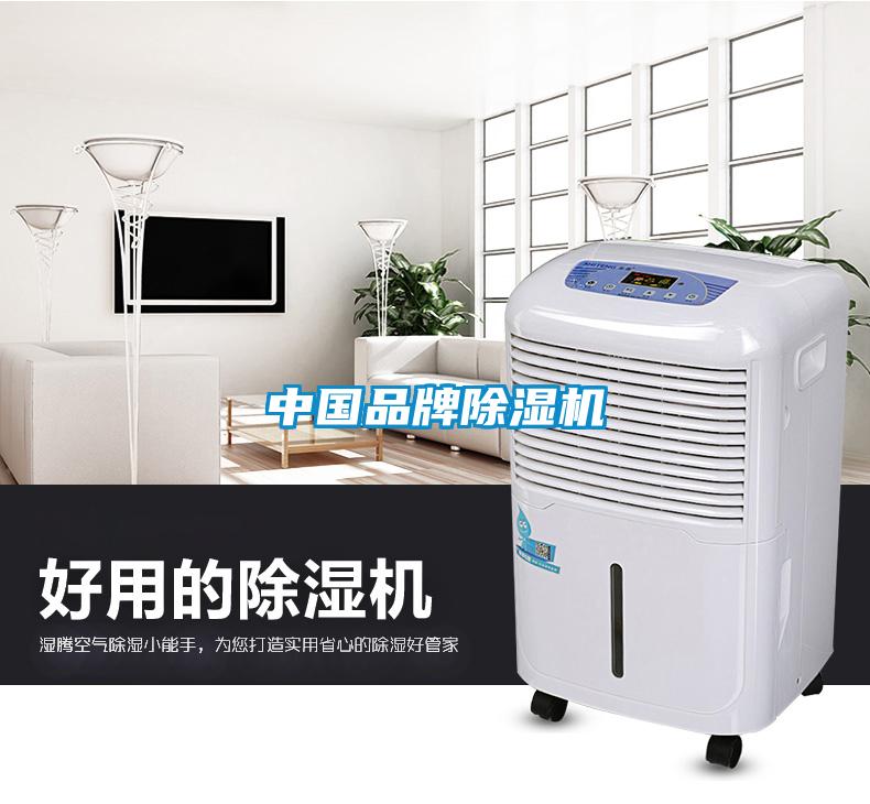 中國品牌除濕機(jī)