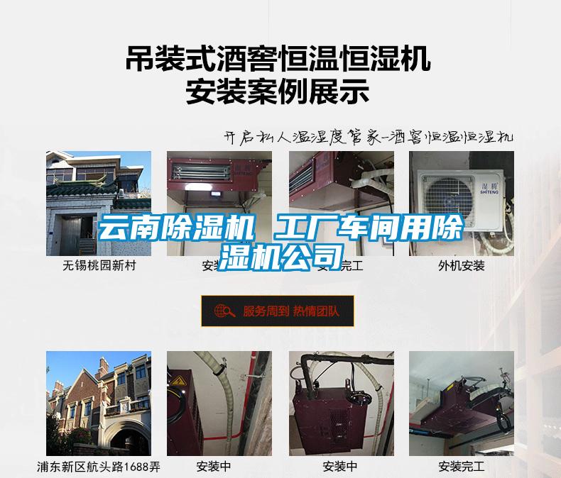 云南除濕機 工廠車間用除濕機公司