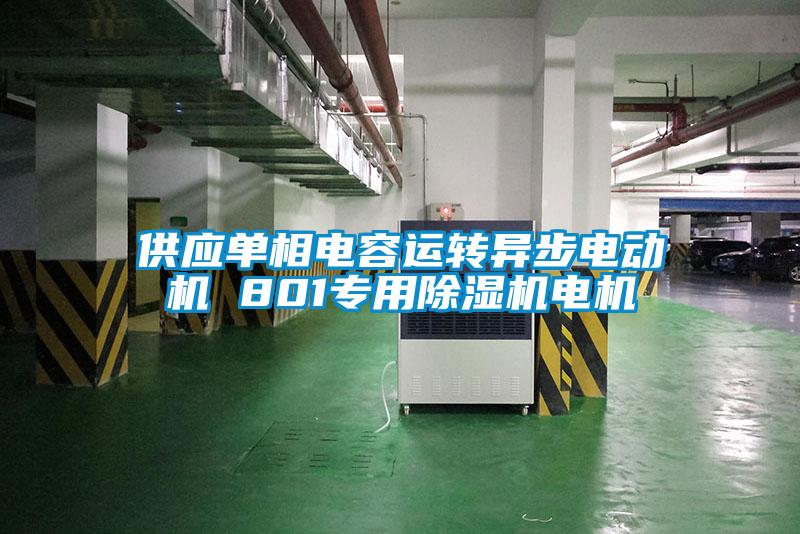 供應單相電容運轉(zhuǎn)異步電動機 801專用除濕機電機