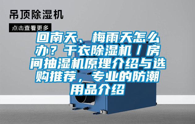 回南天、梅雨天怎么辦？干衣除濕機／房間抽濕機原理介紹與選購推薦，專業的防潮用品介紹