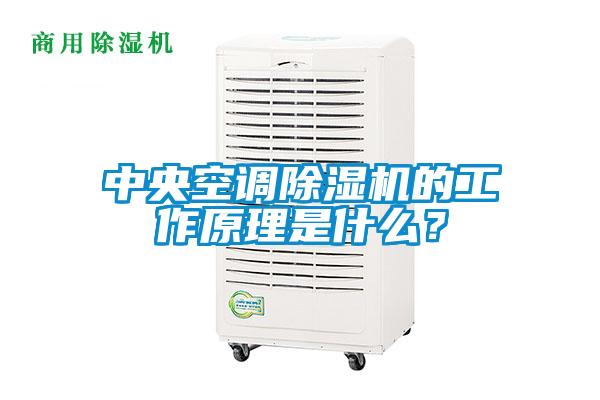 中央空調(diào)除濕機的工作原理是什么？