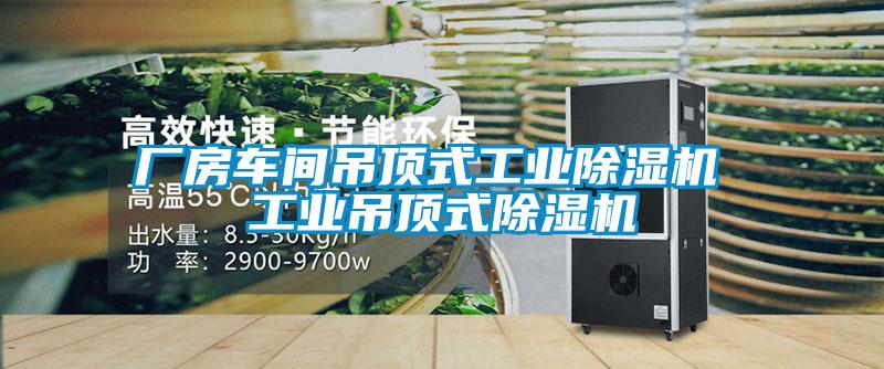 廠房車間吊頂式工業(yè)除濕機 工業(yè)吊頂式除濕機