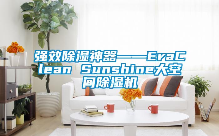 強(qiáng)效除濕神器――EraClean Sunshine大空間除濕機(jī)