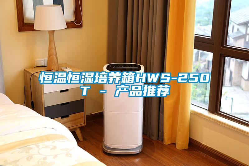 恒溫恒濕培養箱HWS-250T - 產品推薦