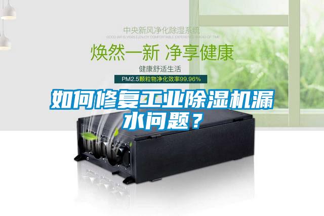 如何修復工業除濕機漏水問題？