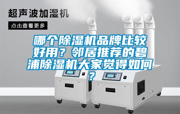 哪個(gè)除濕機(jī)品牌比較好用？鄰居推薦的碧浦除濕機(jī)大家覺(jué)得如何？